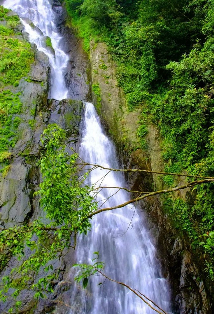 Tam Đảo một màu xanh mát