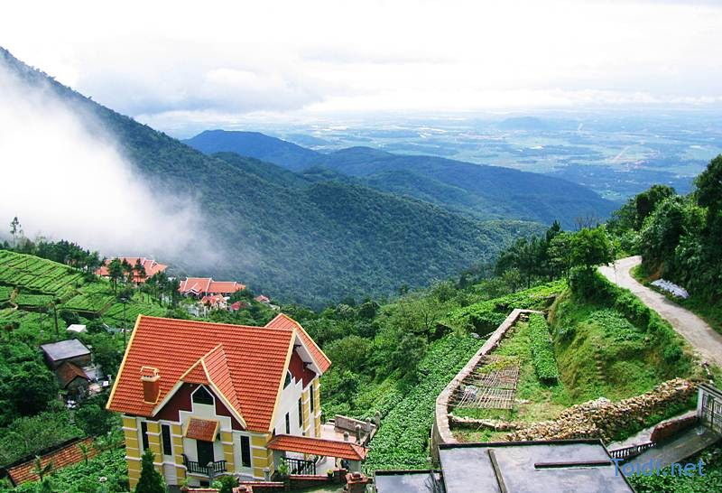 Khí hậu Tam Đảo mát mẻ quanh năm